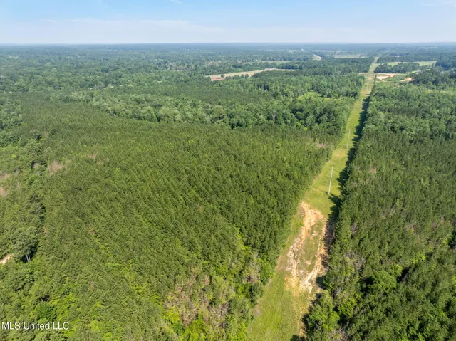 $605,000 | 121 Old Highway 49, Seminary, MS 39479