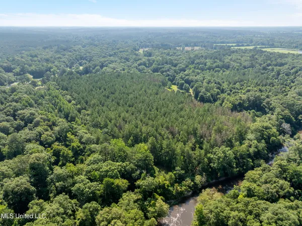 $605,000 | 121 Old Highway 49, Seminary, MS 39479