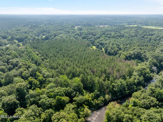 $605,000 | 121 Old Highway 49, Seminary, MS 39479