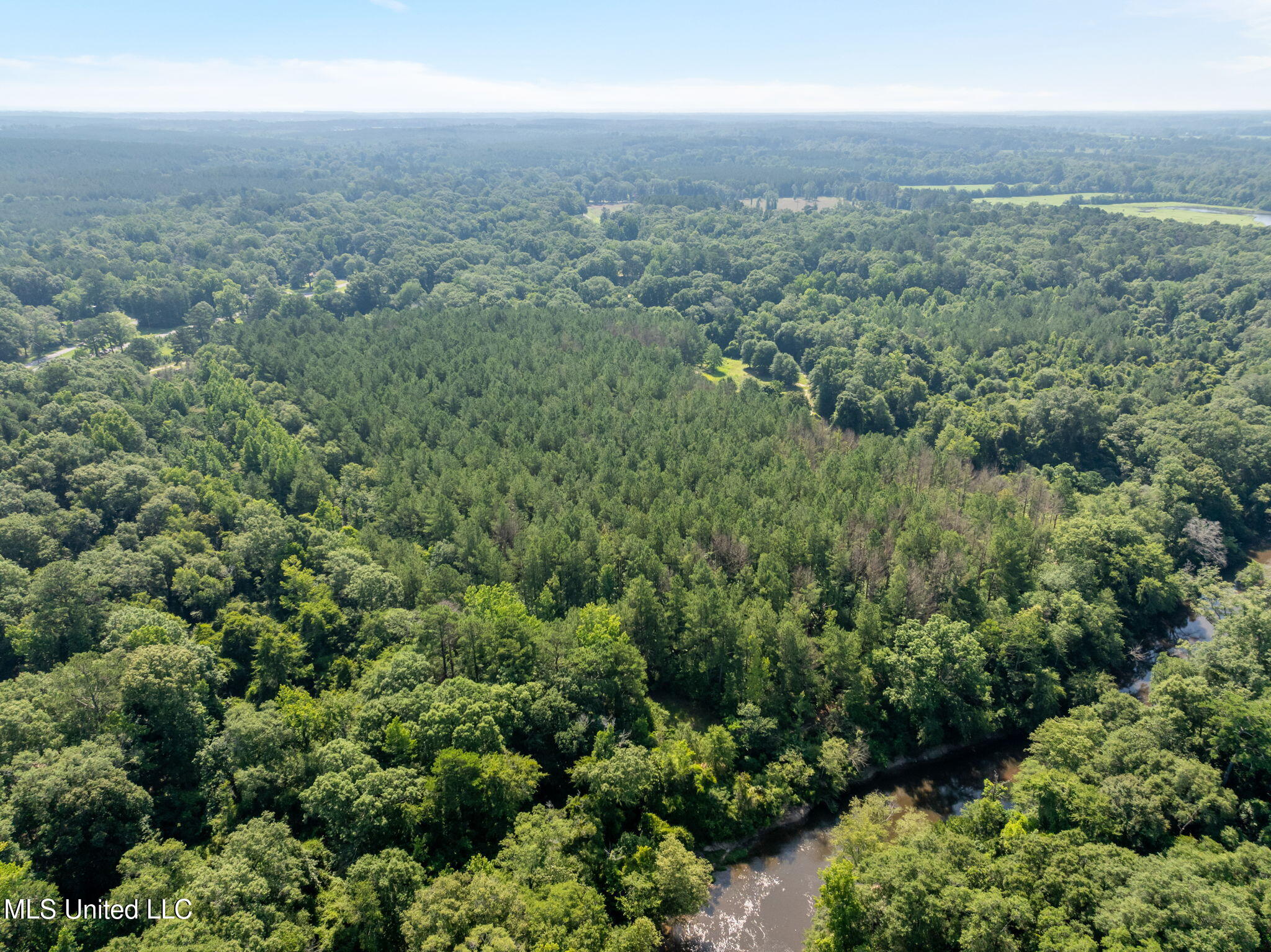 121 Old Highway 49 Seminary, MS 39479 - Photo 18 of 21 0_Foster_McConnell_Rd-18
