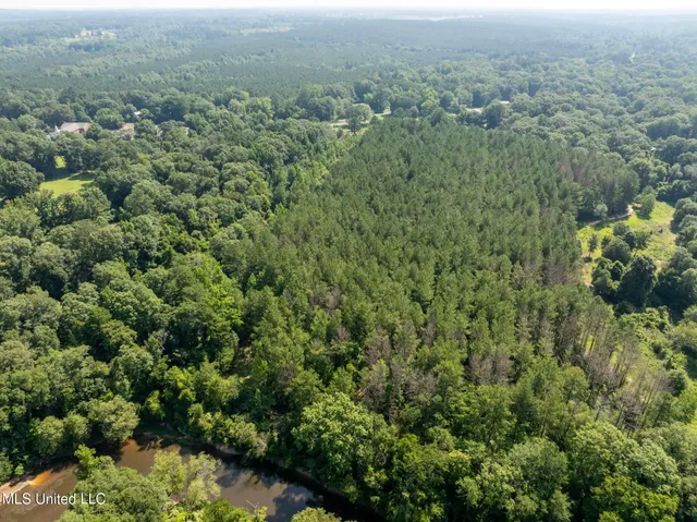 $605,000 | 121 Old Highway 49, Seminary, MS 39479