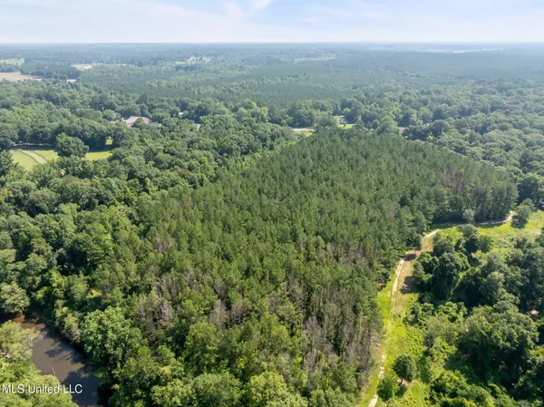 $605,000 | 121 Old Highway 49, Seminary, MS 39479