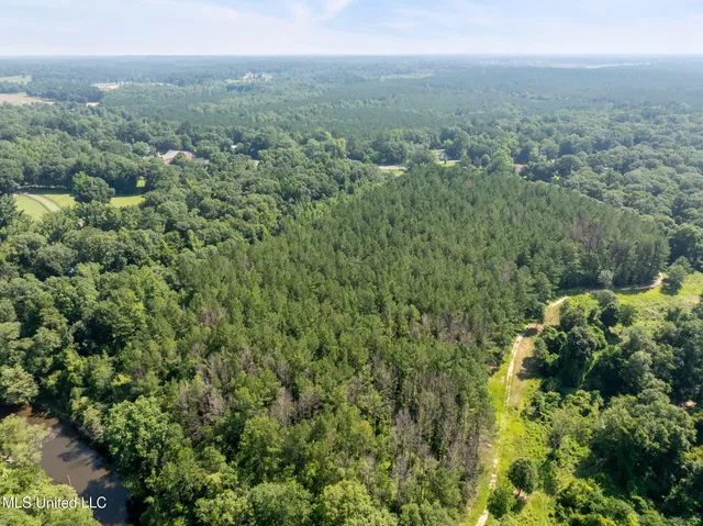 $605,000 | 121 Old Highway 49, Seminary, MS 39479