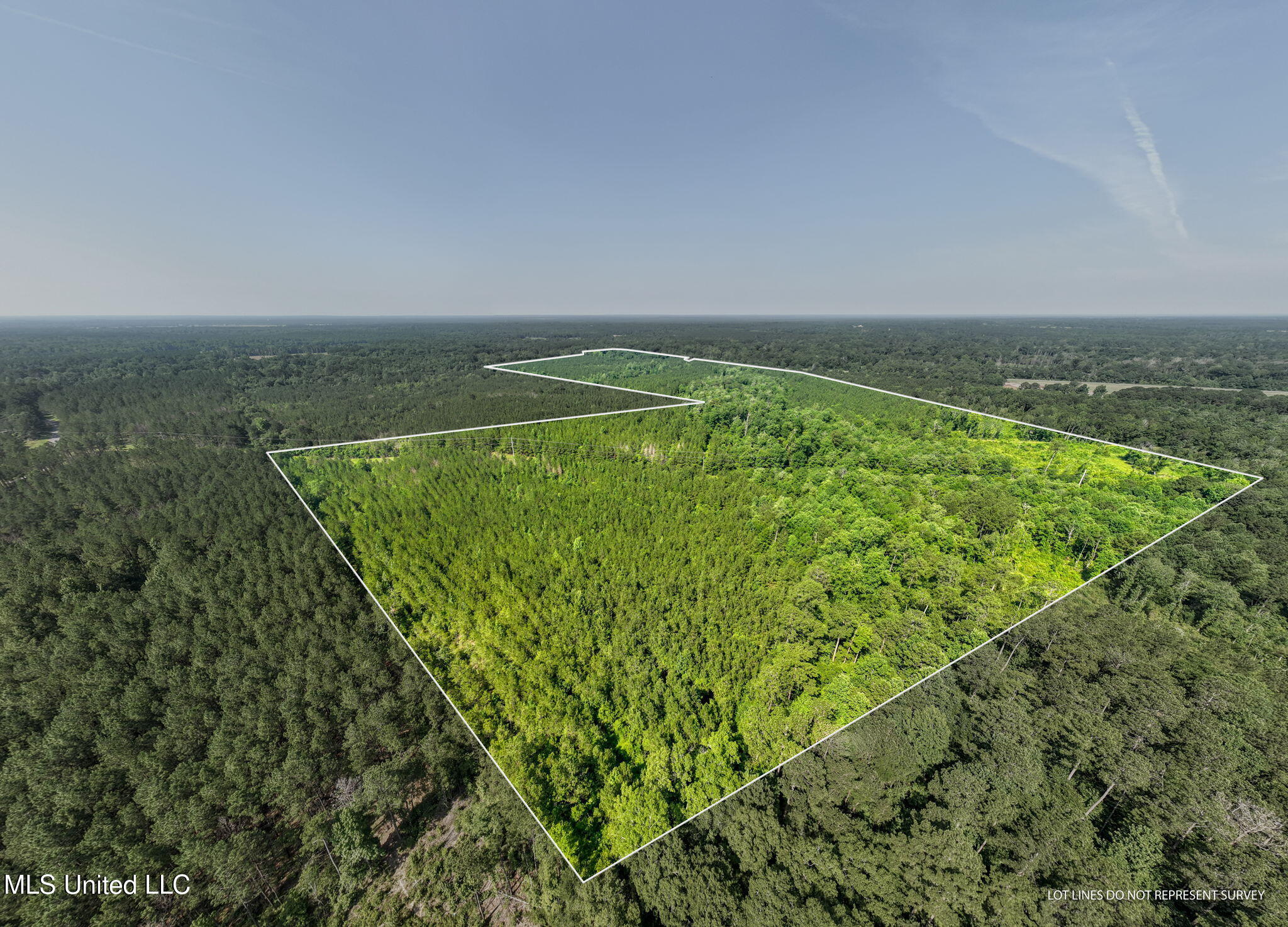 121 Old Highway 49 Seminary, MS 39479 - Photo 2 of 21 0_Foster_McConnell_Rd-2