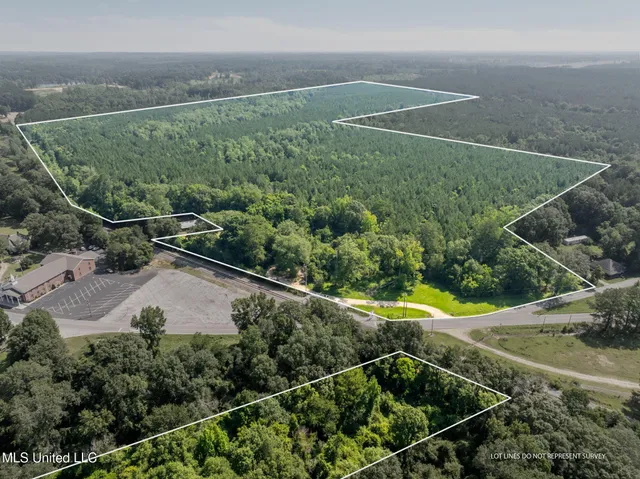 $605,000 | 121 Old Highway 49, Seminary, MS 39479