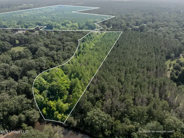 $605,000 | 121 Old Highway 49, Seminary, MS 39479