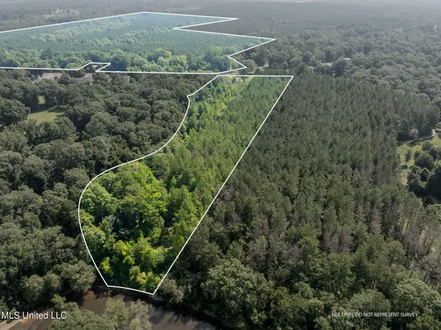 $605,000 | 121 Old Highway 49, Seminary, MS 39479