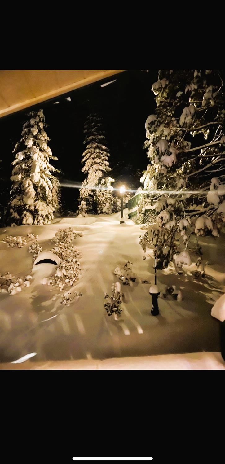42025 Tollhouse Road Shaver Lake, CA 93664 - Photo 64 of 64 A little image of a snowy evening