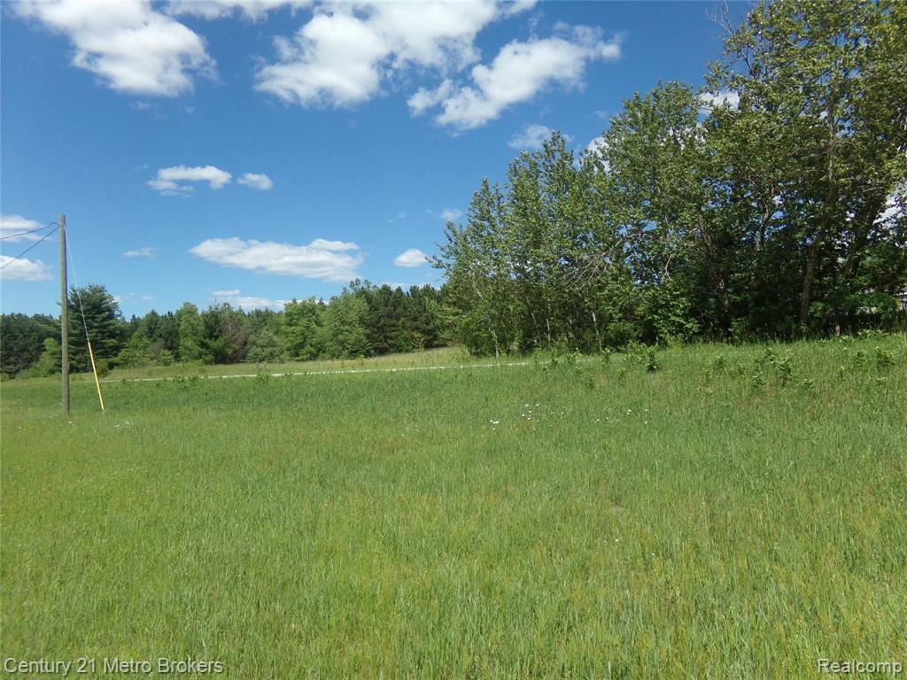8944 Shippy Road Southwest Fife Lake, MI 49633 - Photo 11 of 32