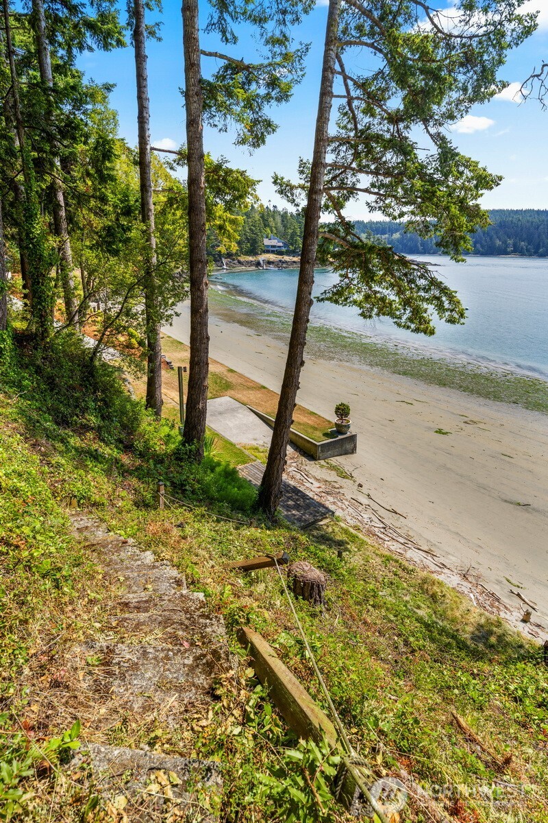 5318 Quiet Cove Road Anacortes, WA 98221 - Photo 20 of 32 a view of a park with a tree