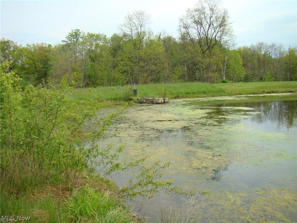 V/l Mayfield Road Windsor, OH 44099 - Photo 9 of 9