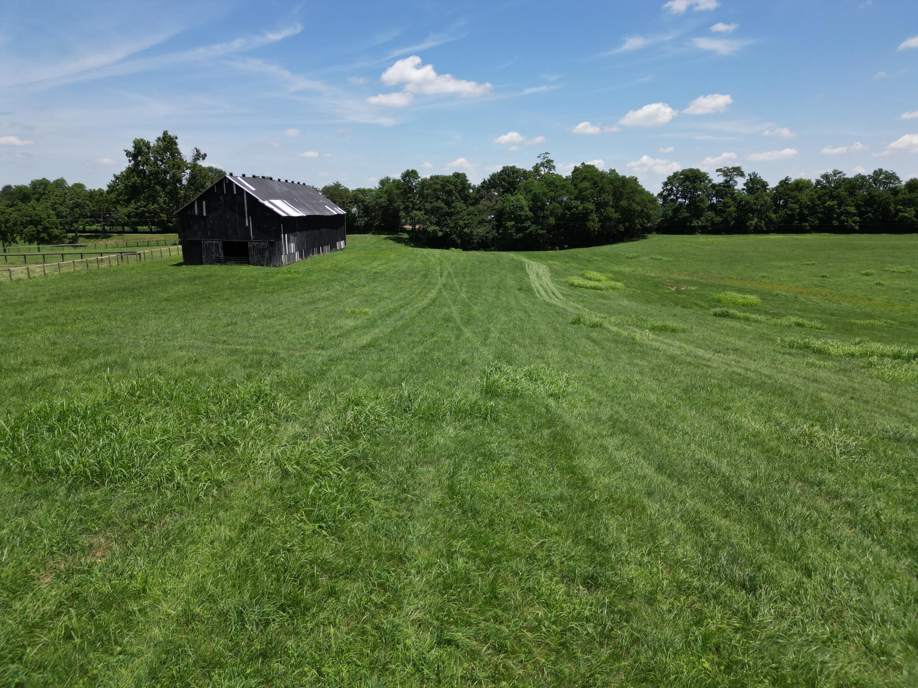 1949 Huntertown Road Versailles, KY 40383 - Photo 27 of 32 DJI_0431