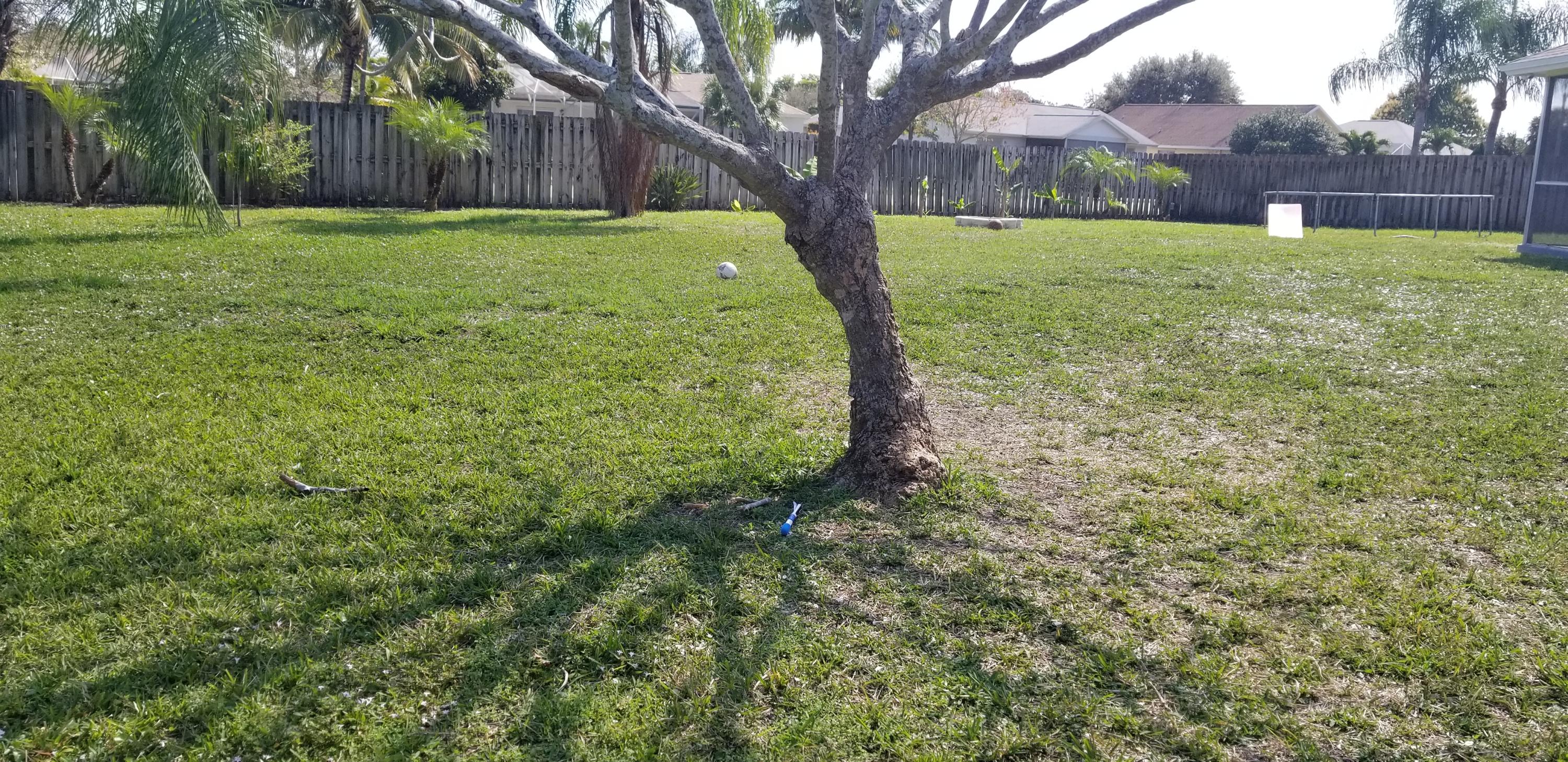 187 Raintree Trail Jupiter, FL 33458 - Photo 4 of 16 20190219_113459