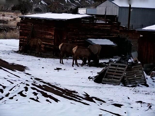 24 Lee Road Cuba, NM 87013 - Photo 48 of 62