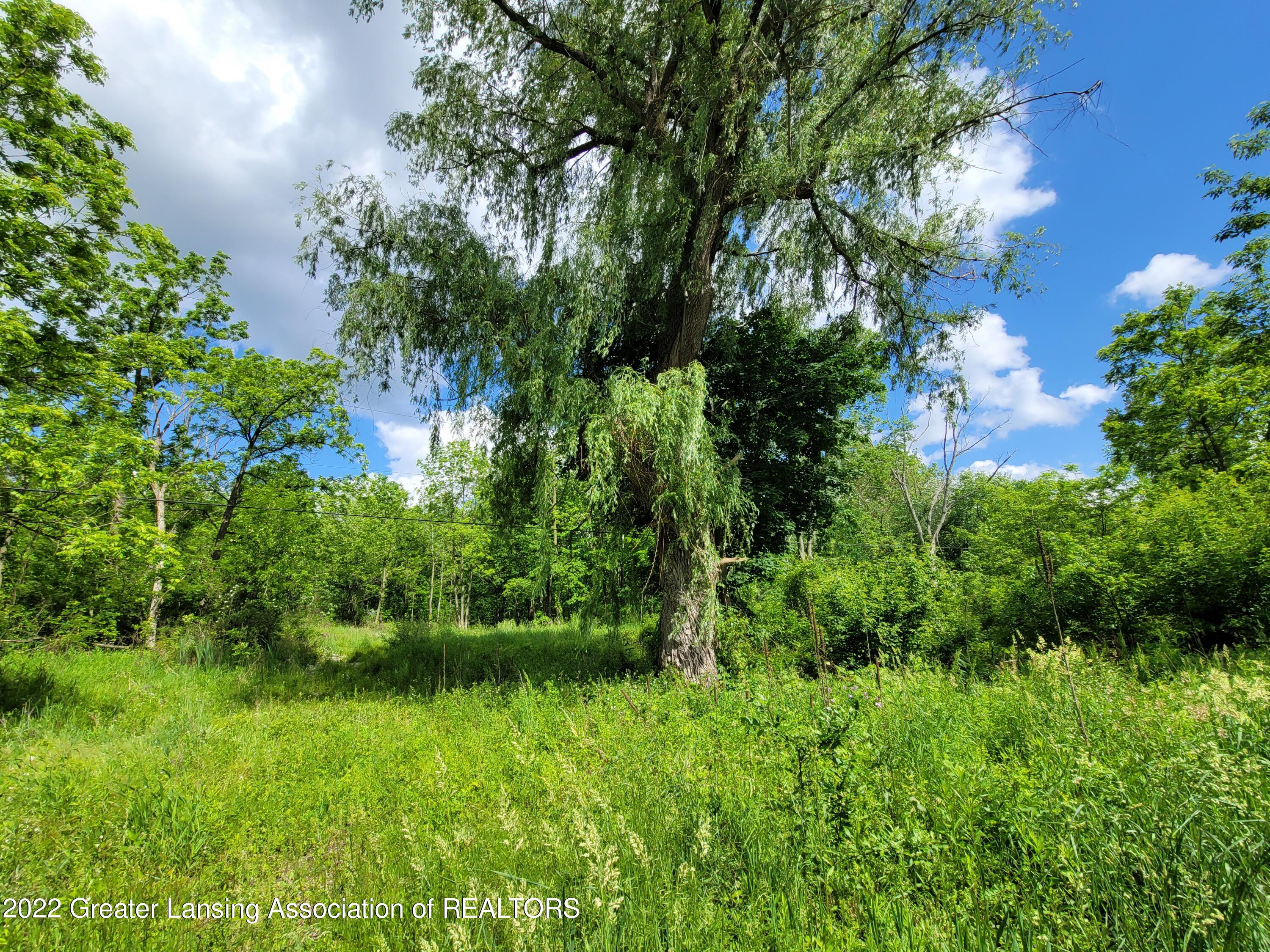 0 South Waverly Road Eaton Rapids, MI 48827 - Photo 2 of 15 20220609_163029