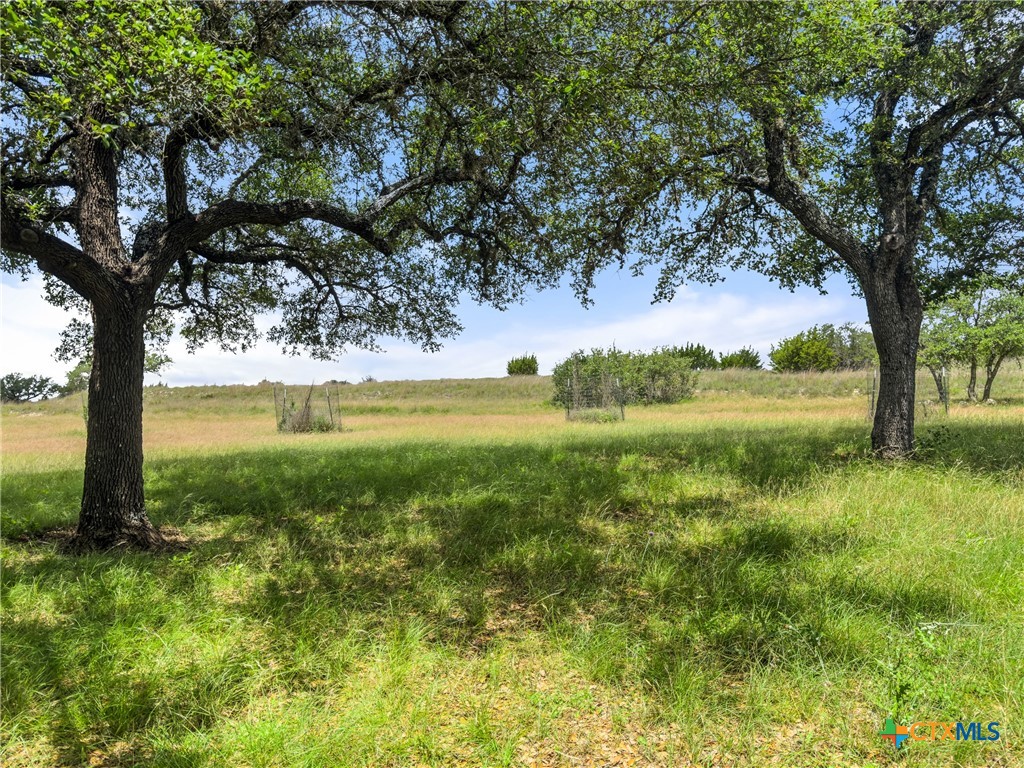 428 Summit Spring Lane Johnson City, TX 78636 - Photo 3 of 33