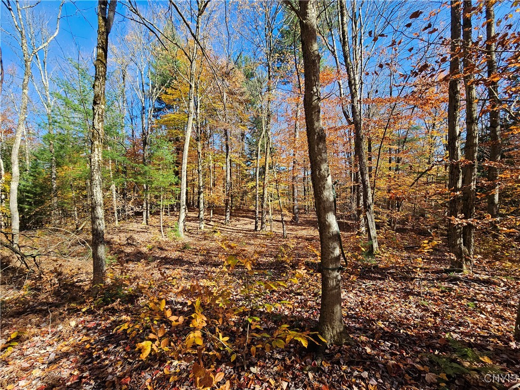 8 North Hillsborough Road Amboy, NY 13316 - Photo 15 of 46