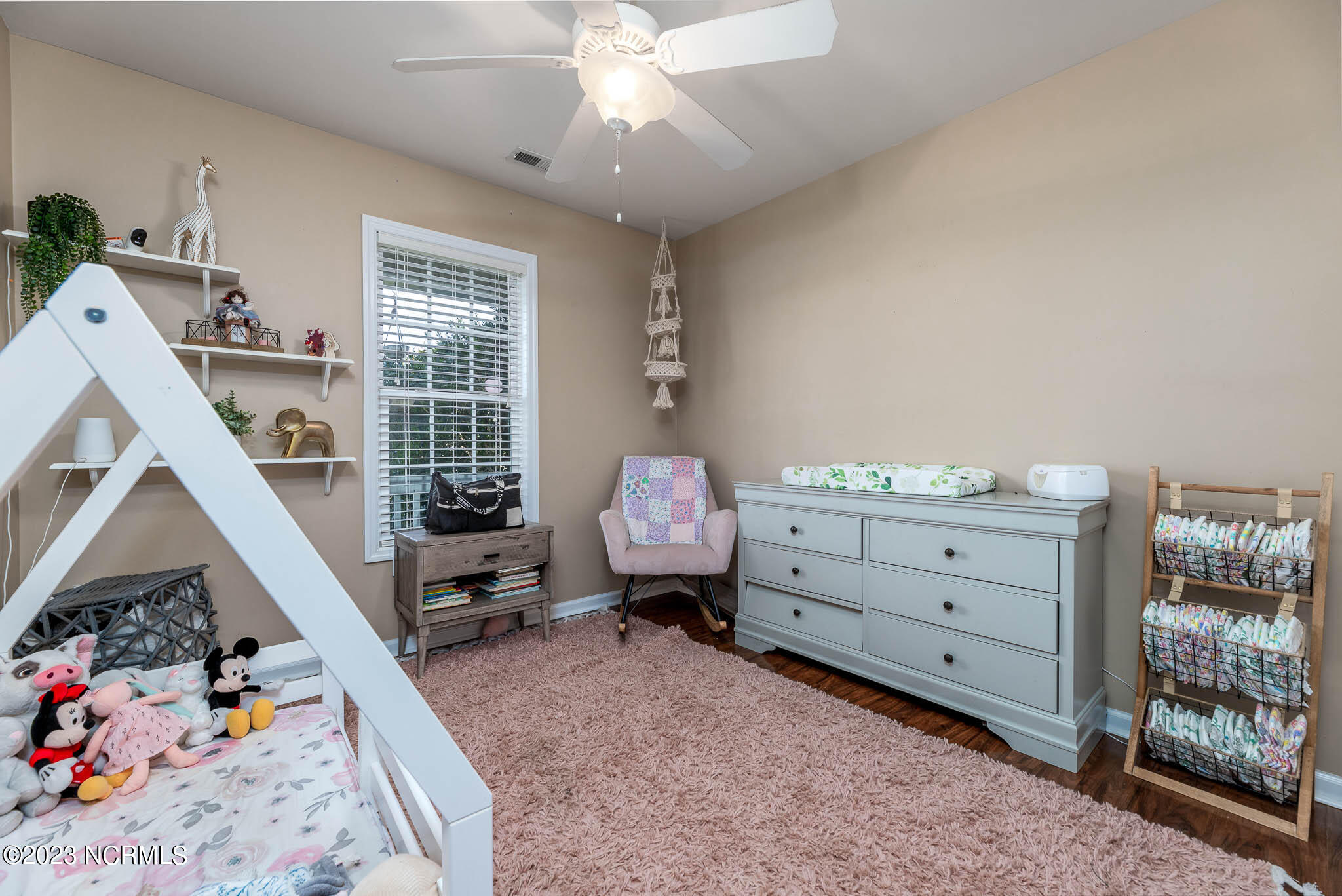 406 Dylan Court Beulaville, NC 28518 - Photo 19 of 29 A-28