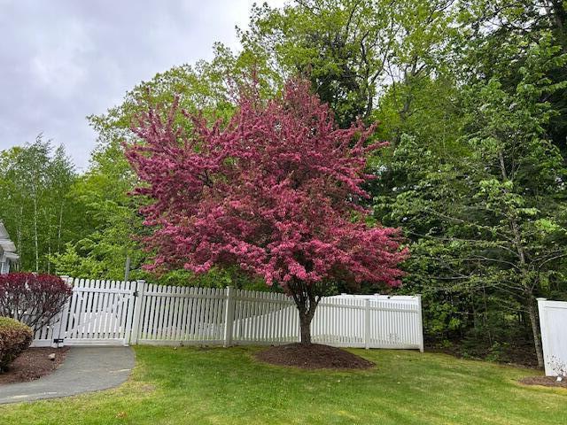 1 South Ridge Drive Winslow, ME 04901 - Photo 52 of 53 Tree