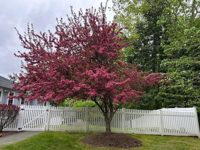 1 South Ridge Drive Winslow, ME 04901 - Photo 6 of 53 Tree