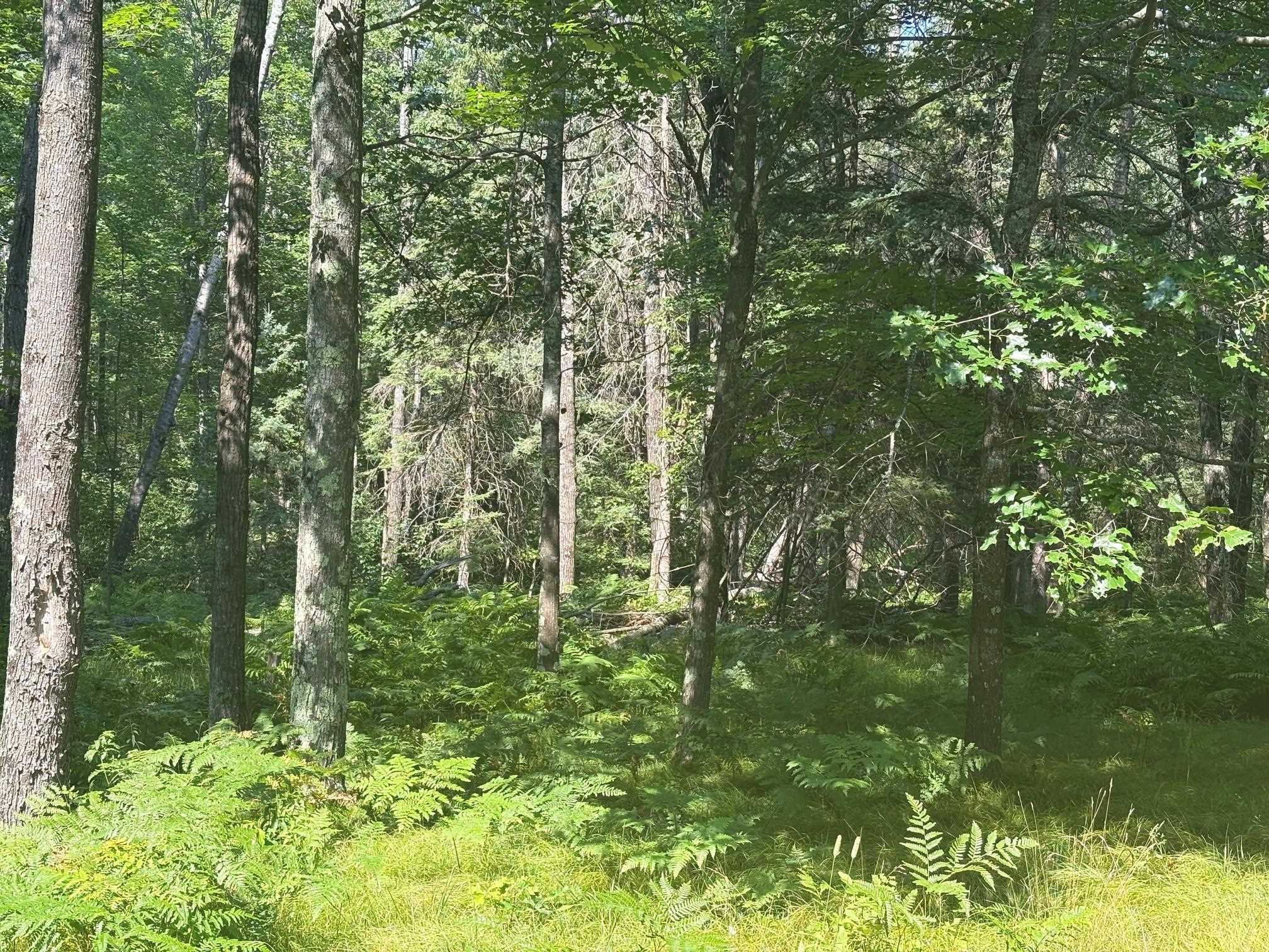 W13470 Eagle River Road Silver Cliff, WI 54104 - Photo 9 of 18 Gallery Image 9