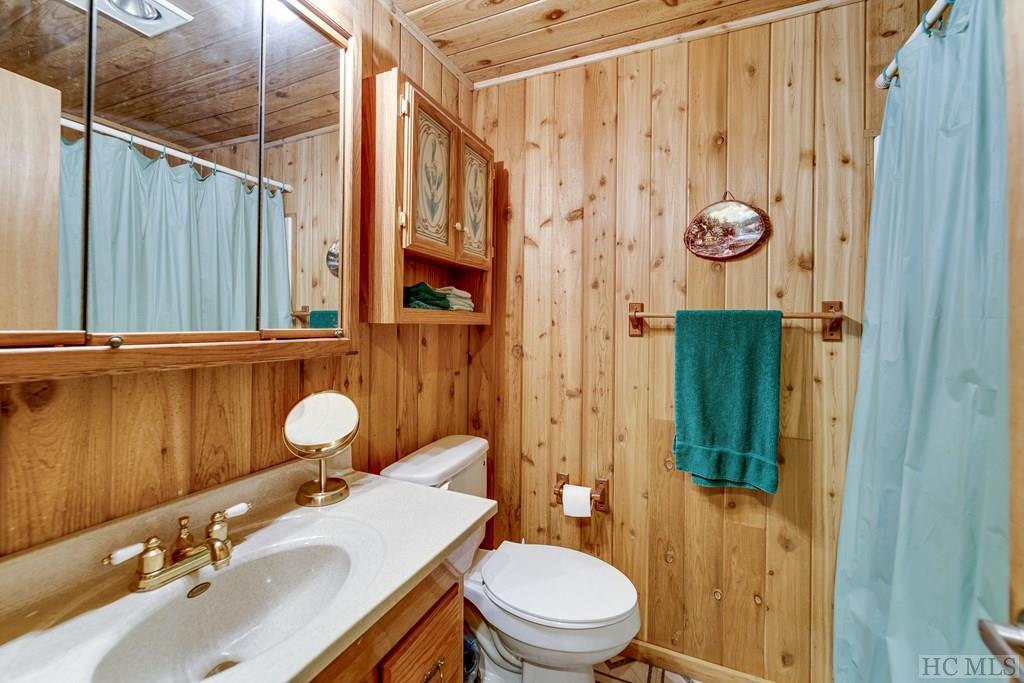 593 Silver Run Road Cashiers, NC 28717 - Photo 13 of 20 Gallery Image 13