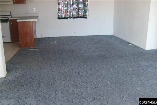 3840 Hummingbird Drive Reno, NV 89508 - Photo 4 of 9