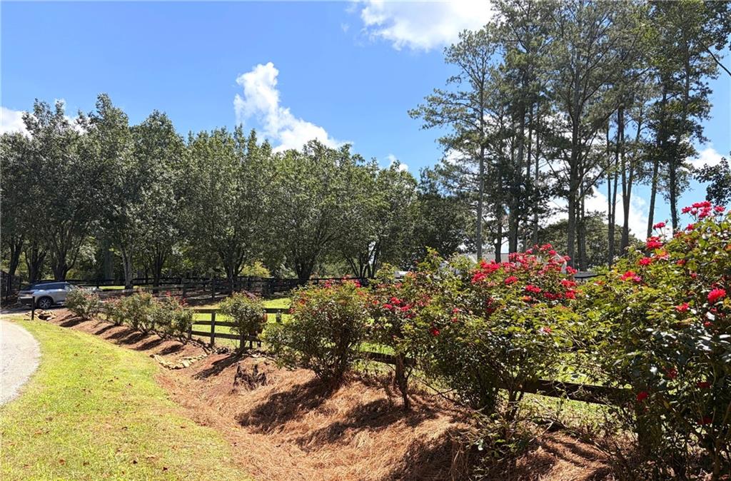 3204 Reavis Mountain Road Ball Ground, GA 30107 - Photo 2 of 76 Gallery Image 2