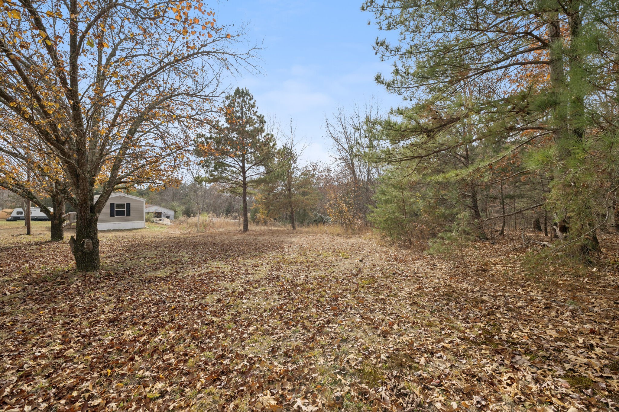 108 Lyell Road Hohenwald, TN 38462 - Photo 25 of 28 a view of a yard with trees