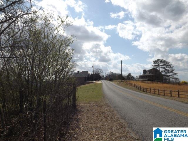 8455 Pine Mountain Road Springville, AL 35146 - Photo 8 of 39 Gallery Image 8