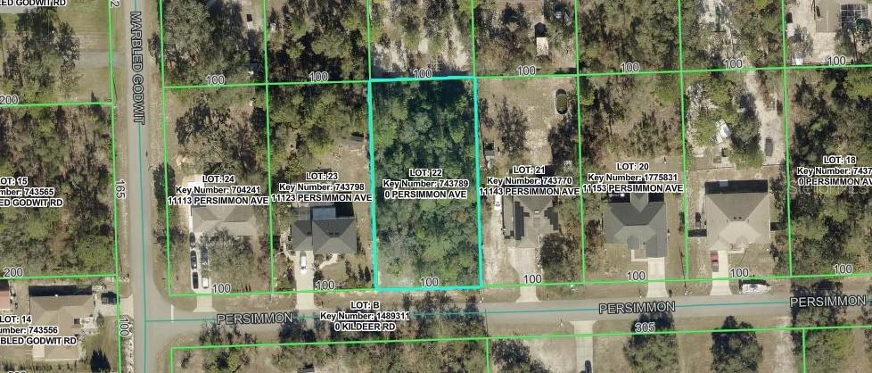 Persimmon Avenue Weeki Wachee, FL 34614 - Photo 2 of 6