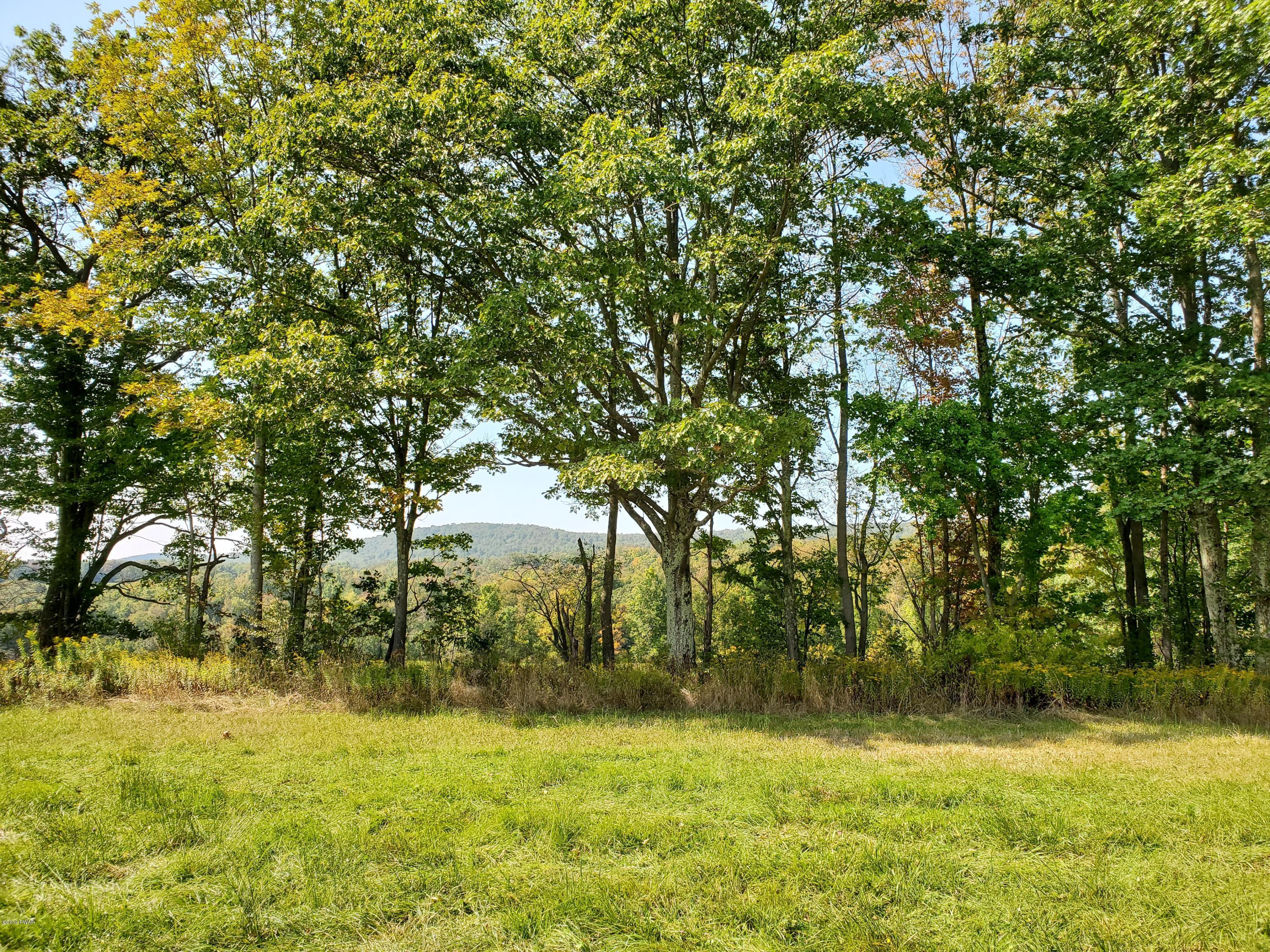 South Preston Road Lakewood, PA 18439 - Photo 3 of 16