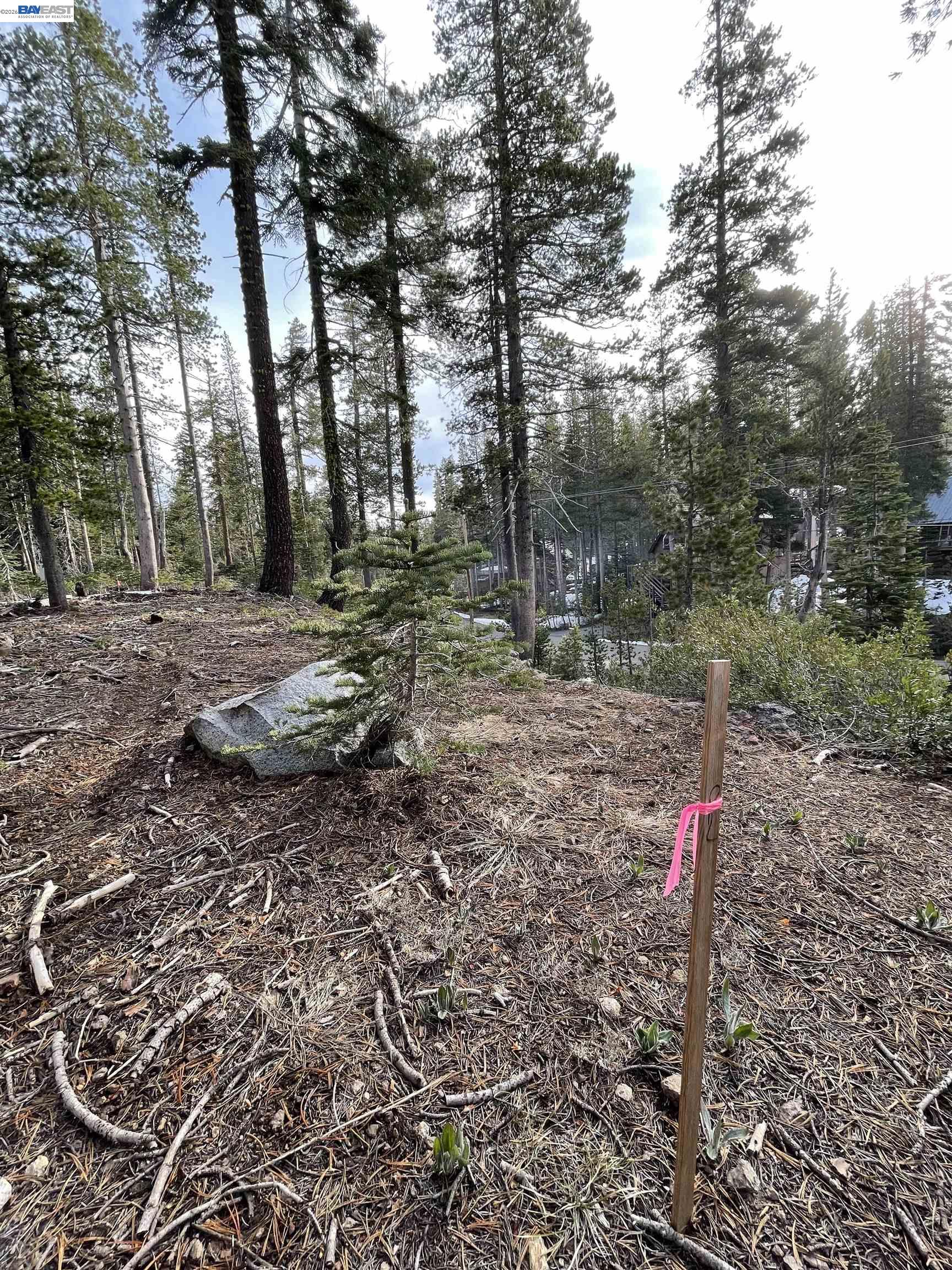 7217 Palisade Road Soda Springs, CA 95728 - Photo 10 of 11