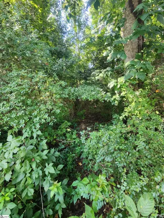 $45,000 | 103 Quail Haven Drive, Unit 493 ODOM ROAD, Easley, SC 29642