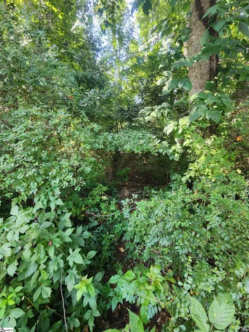 $45,000 | 103 Quail Haven Drive, Unit 493 ODOM ROAD, Easley, SC 29642