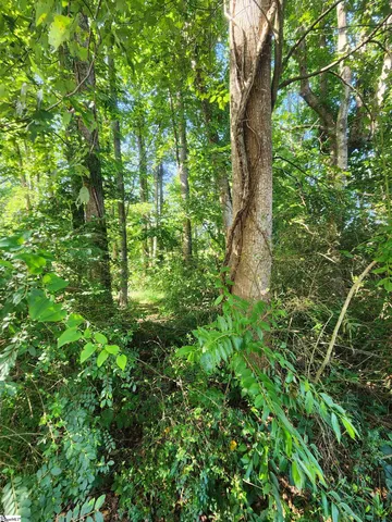 $45,000 | 103 Quail Haven Drive, Unit 493 ODOM ROAD, Easley, SC 29642