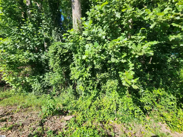 $45,000 | 103 Quail Haven Drive, Unit 493 ODOM ROAD, Easley, SC 29642