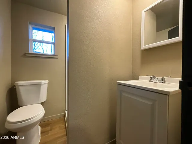 a bathroom with a sink and a toilet