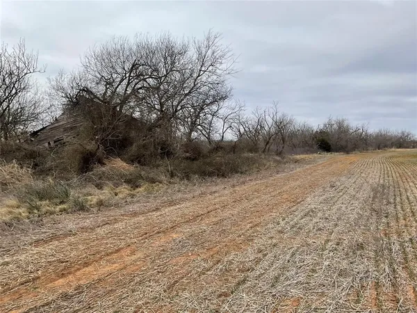 a view of a dry yard with trees
