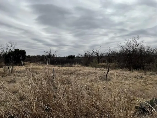 a view of a dry yard with trees