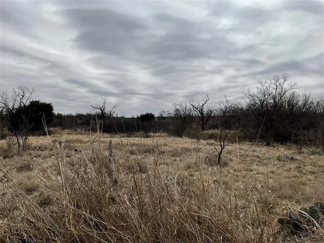 a view of a dry yard with trees