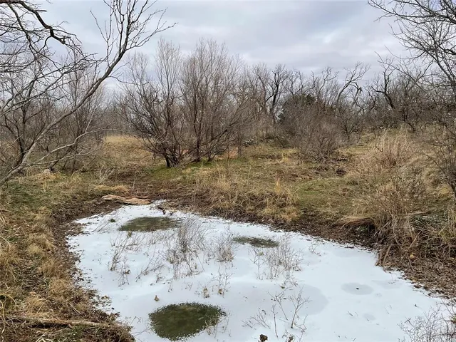 a view of a dry yard with trees