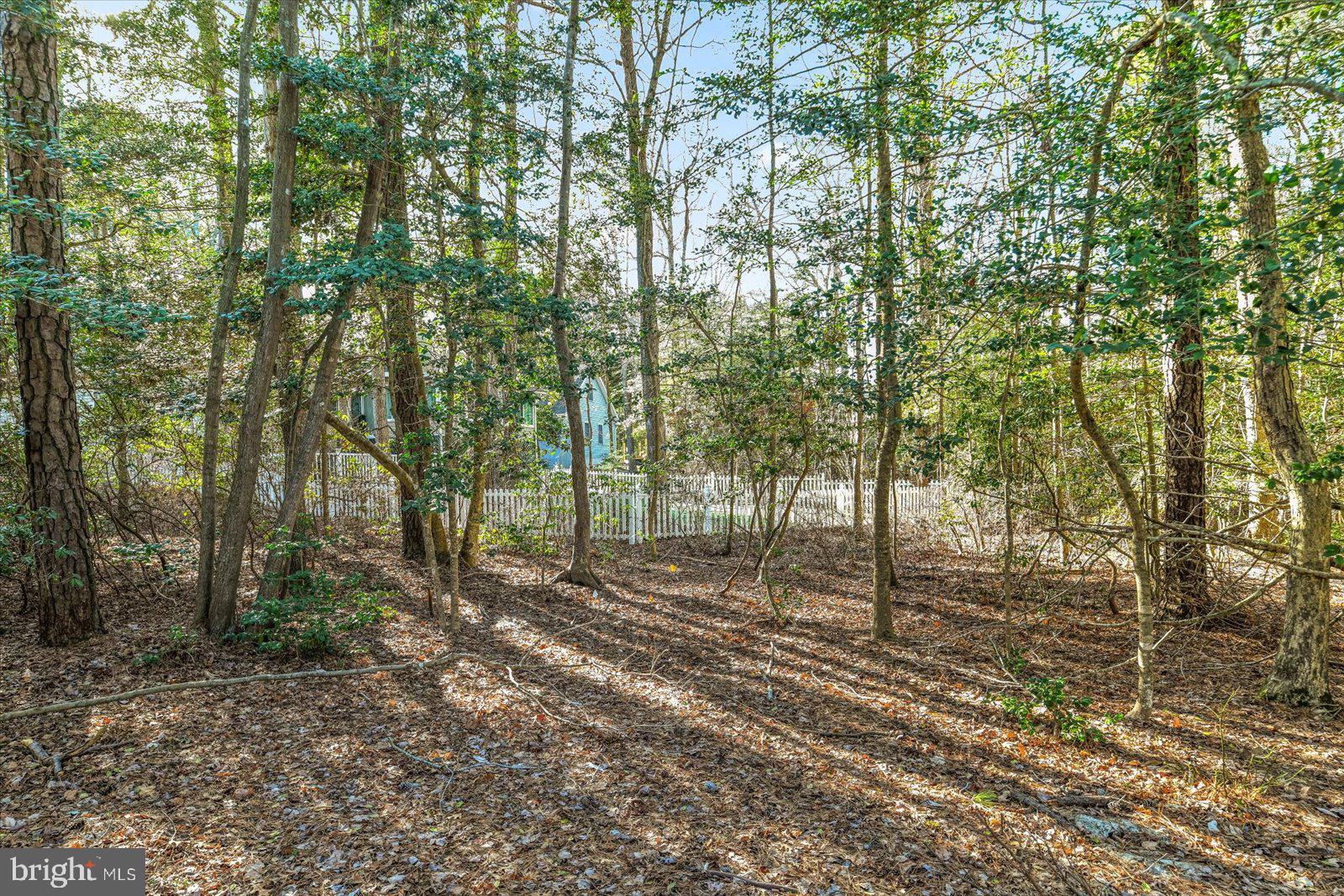 68 Falcon Bridge Road Berlin, MD 21811 - Photo 46 of 71 a view of a yard with trees