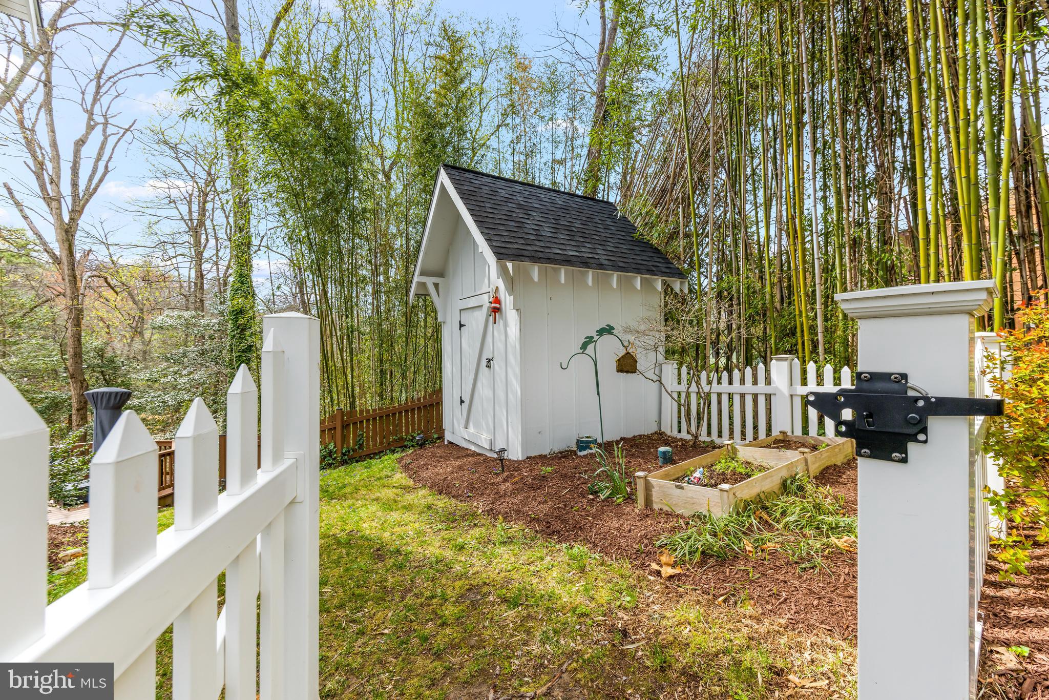 776 Snodgrass Road Crownsville, MD 21032 - Photo 69 of 82 a backyard of a house with a tree