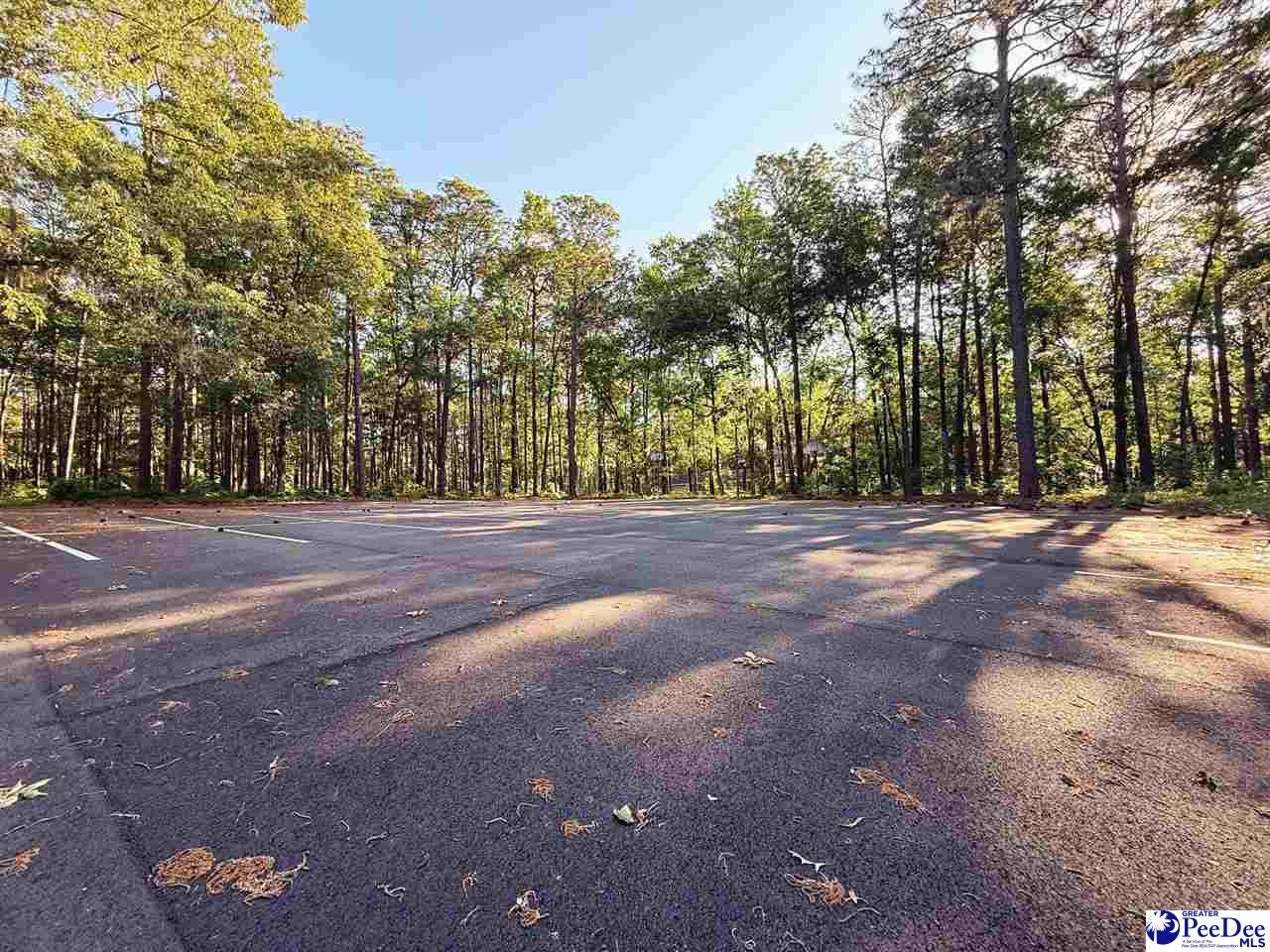 60-acres West Freight Road Florence, SC 29501 - Photo 21 of 27 Gallery Image 21