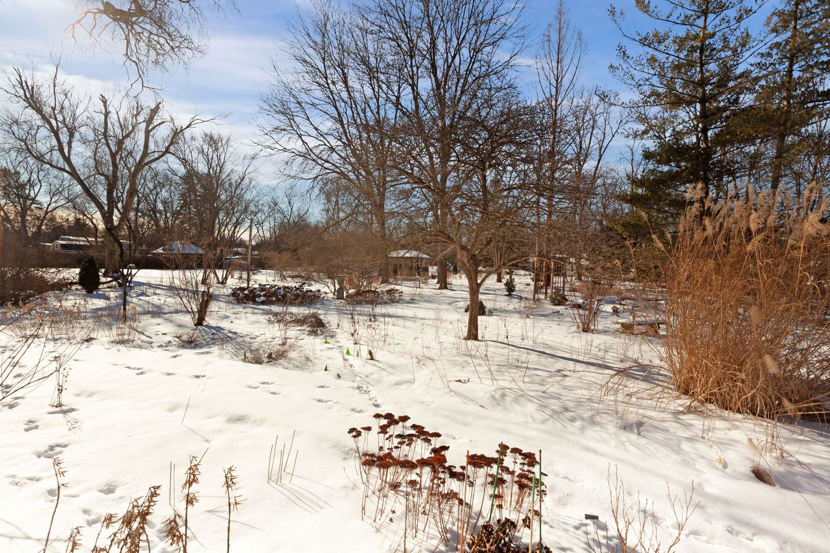 108 North Wheeling Road Prospect Heights, IL 60070 - Photo 42 of 54 a view of covered with snow
