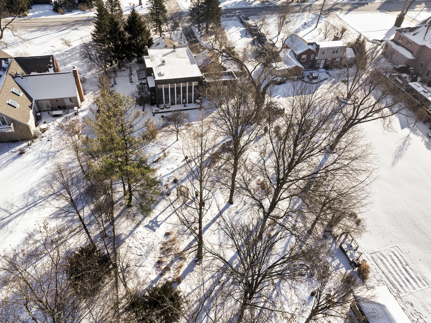 108 North Wheeling Road Prospect Heights, IL 60070 - Photo 47 of 54 a view of house with a snow