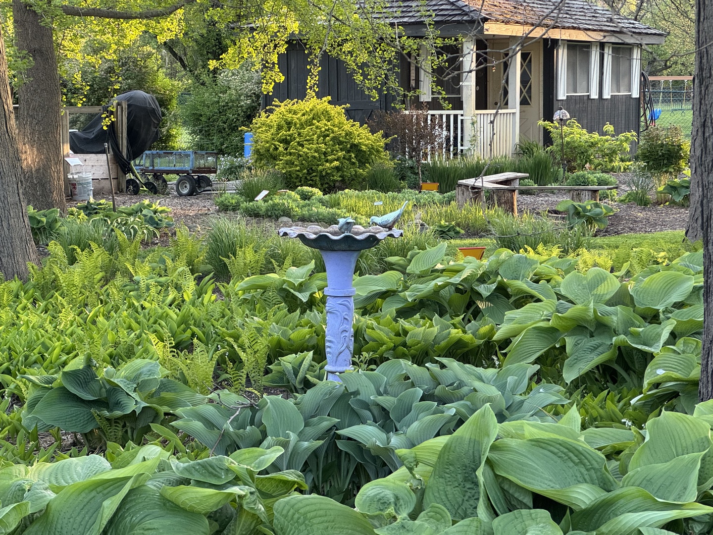 108 North Wheeling Road Prospect Heights, IL 60070 - Photo 52 of 54