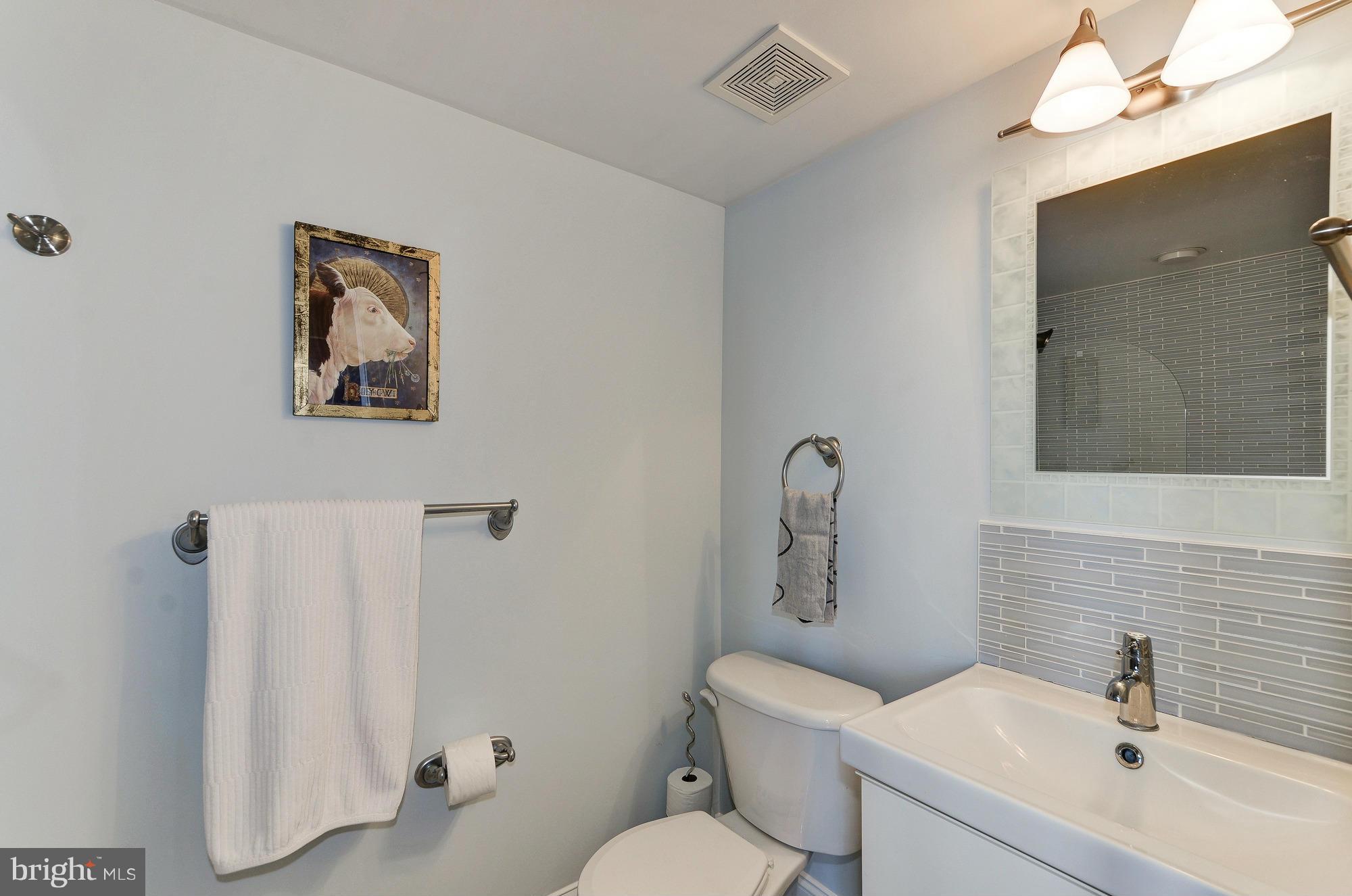 8326 Fenton Street, Unit A Silver Spring, MD 20910 - Photo 17 of 30 Renovated hall bath