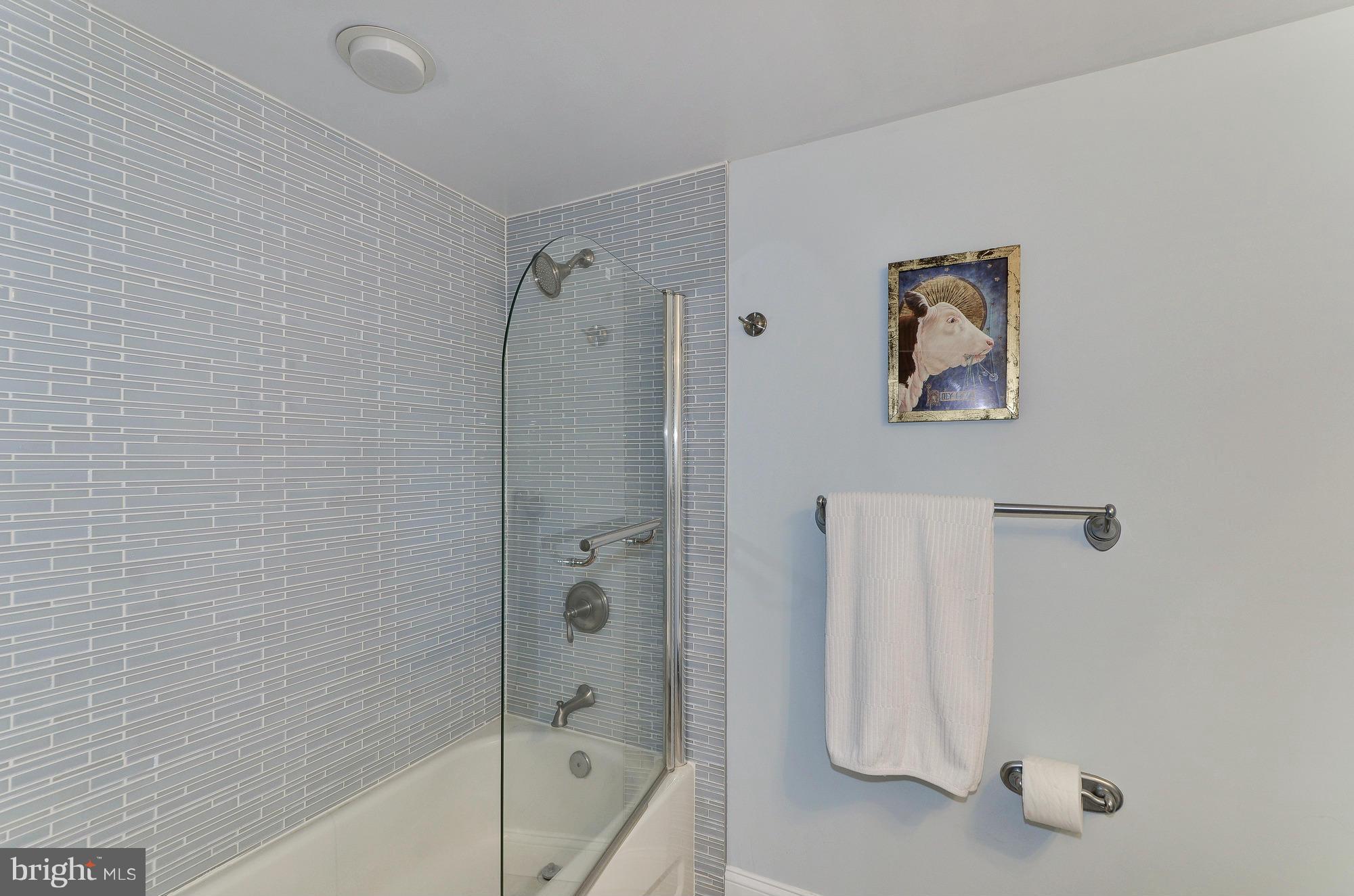8326 Fenton Street, Unit A Silver Spring, MD 20910 - Photo 18 of 30 Hall bath with spa tile